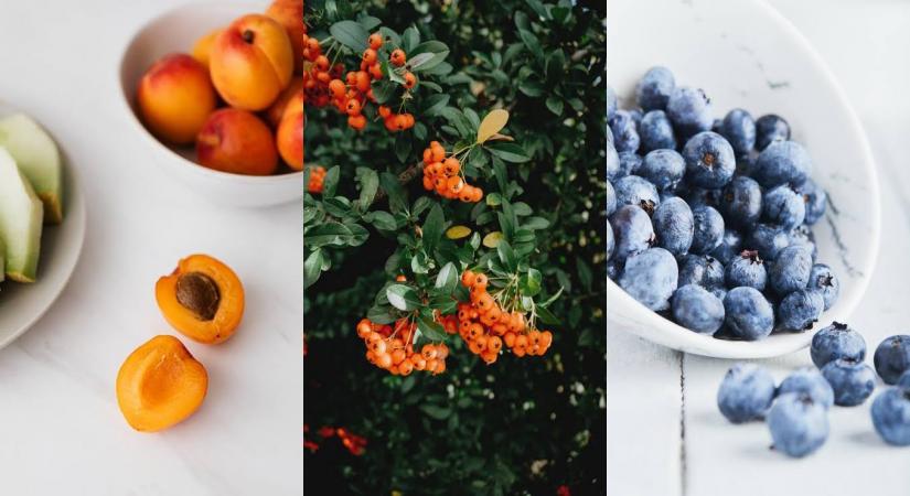 Source: Unsplash and Pexels