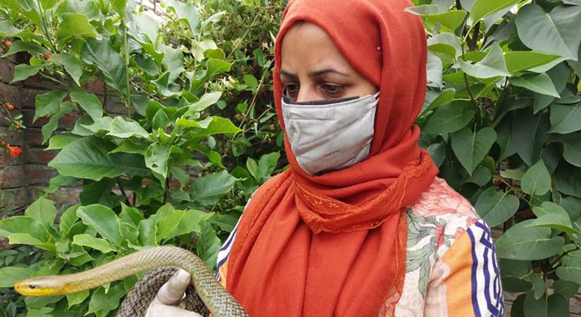 A Himalayan trinket rescued from the former CM Farukh Abdullah’s residence