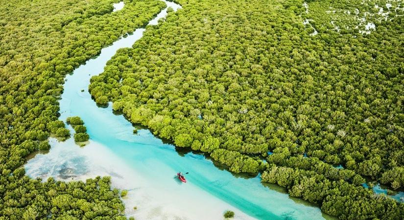 Kayaking at Purple Island