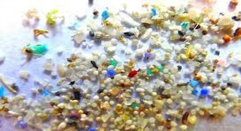 Study reveals presence of microbeads in cosmetic products in India