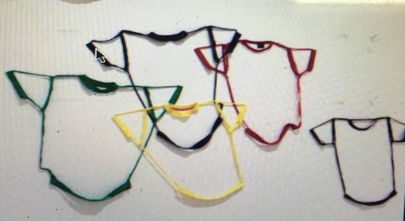 a new life to jaipur