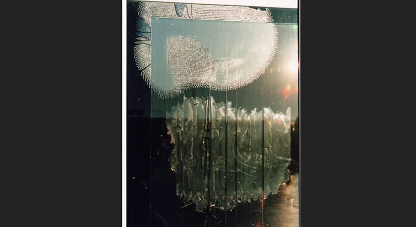 Riddhibrata Burman, Sunset, Chromogenic Print(manual process)