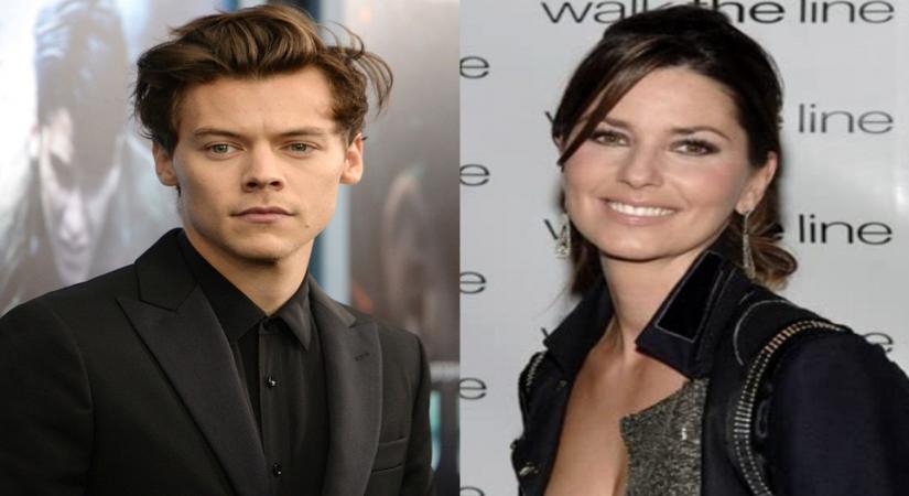 Harry Styles and SHania twain.(photo:IMDB)