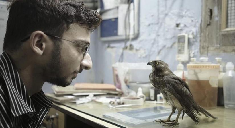 Shaunak Sen's 'All That Breathes' wins best documentary trophy at Cannes