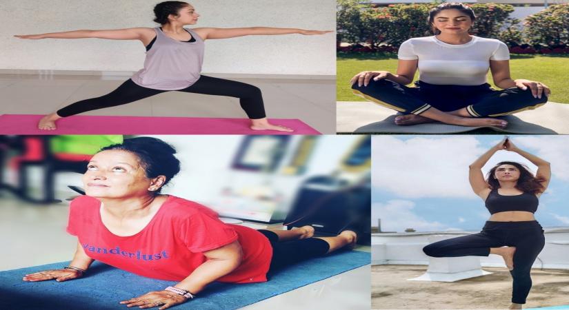 Yoga Day Tv celeb.