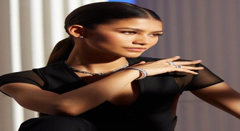 Zendaya doesn't think she could be a pop star (