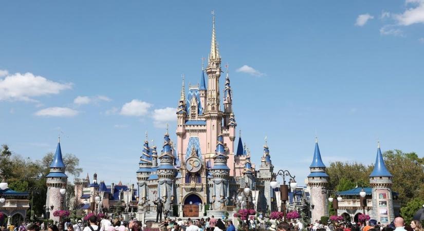 Disney faces heat for ruining couple's marriage proposal moment.