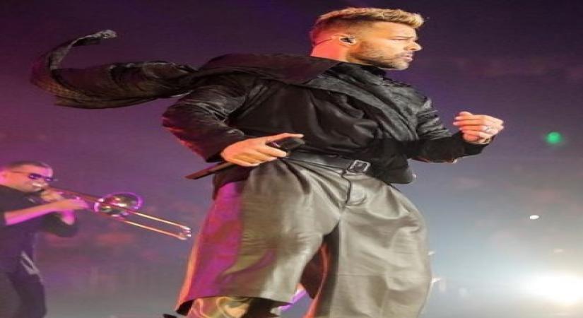 Ricky Martin Singer-songwriter.(Credit : instagram)