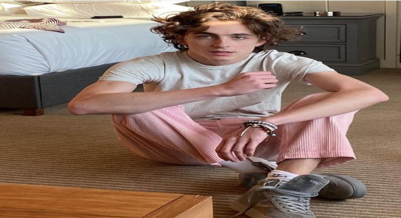 Timothee Chalamet.(photo:Instagram)