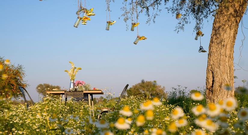 Private Dining - Chamomile