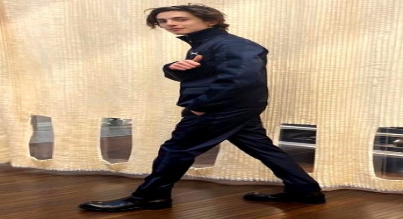 Timothee Chalamet.(photo:instagram)