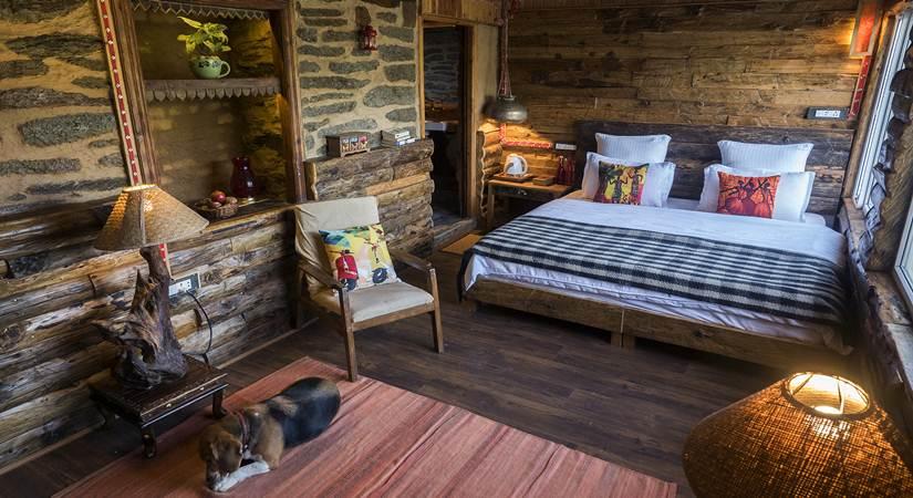 Airbnb World Animal Day Picture