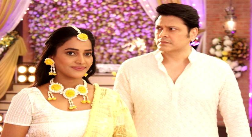 Cezanne Khan reveals upcoming twist in 'Appnapan' plot.