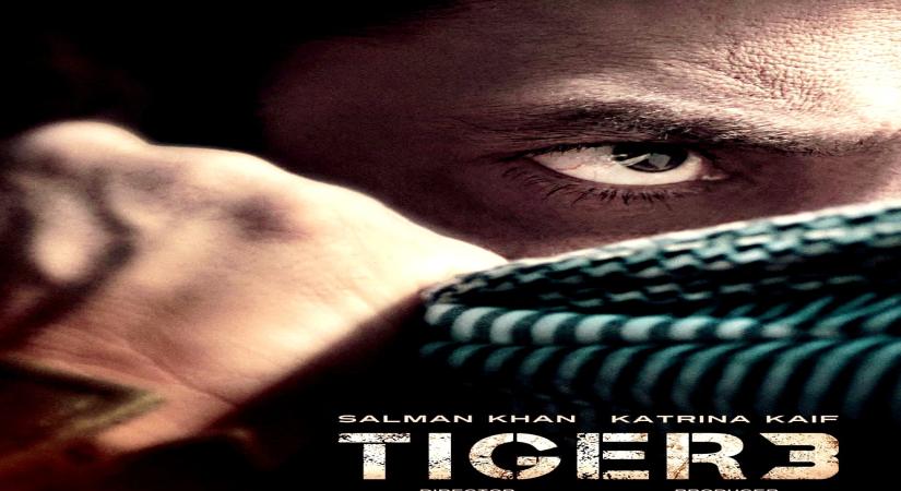 Tiger 3.