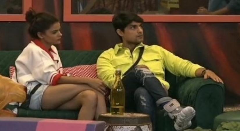 Priyanka, Ankit