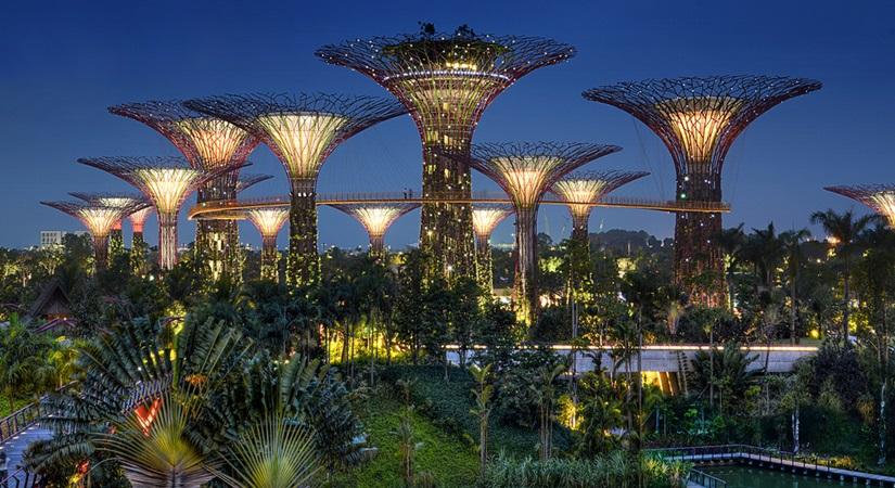 Gardens by the bay
