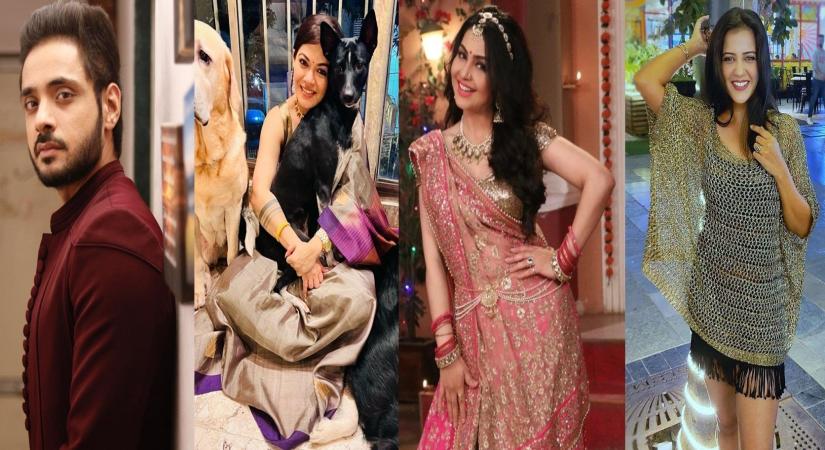 TV actors New Year celebration plans.