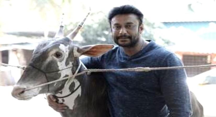 Kannada actor Darshan, wife booked for keeping rare birds in farmhouse.(photo:Twitter/Darshan Thoogudeepa)