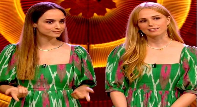 American IIT prof's daughters and kombucha makers on 'Shark Tank India 2'.(photo:instagram)