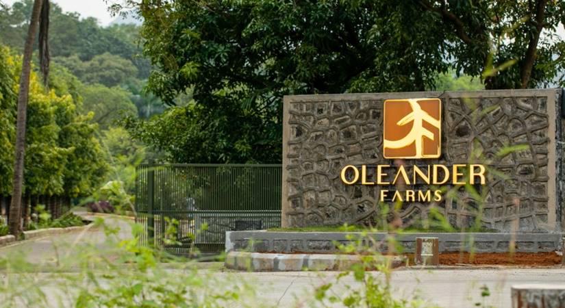 Oleander Farms