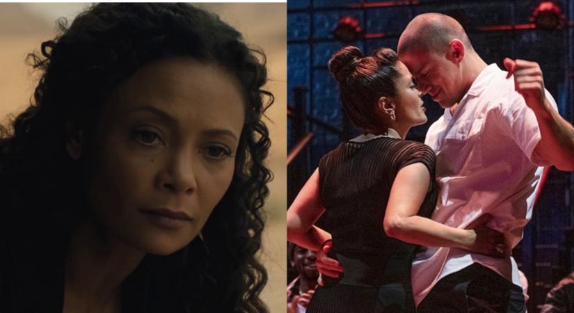 Steven Soderbergh debunks rumour Thandiwe Newton got fired from 'Magic Mike 3'