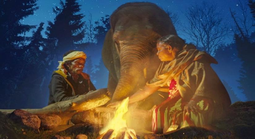 'The Elephant Whisperers' producer says OTT has lifted profile of Indian cinema.