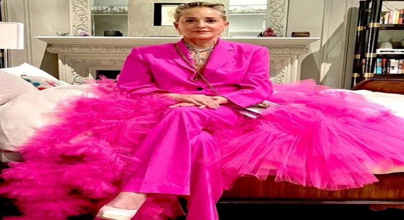 Actress Sharon Stone.(photo:instagram)