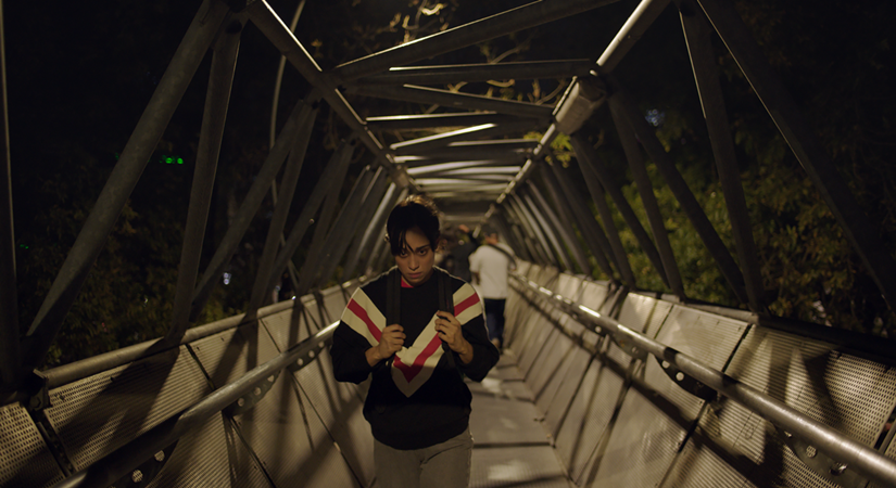 Huesera, The Bone Woman.