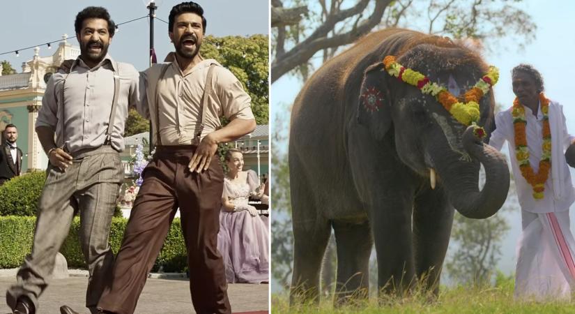 What are LA punters betting on? 'Naatu Naatu' and 'The Elephant Whisperers'