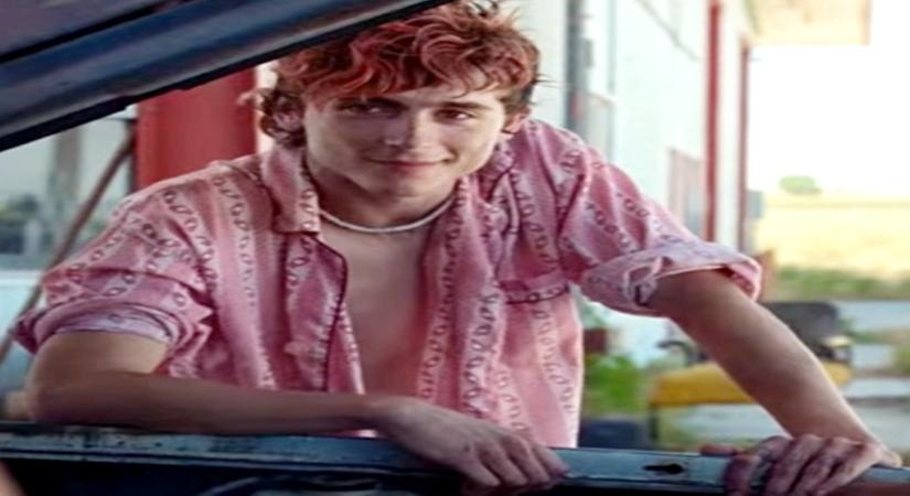 Timothee Chalamet.(photo:instagram)