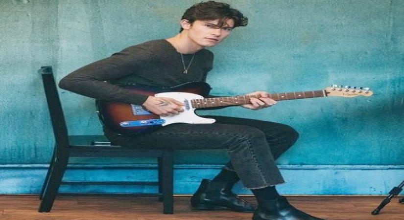 Singer Shawn Mendes.(photo:Instagram)