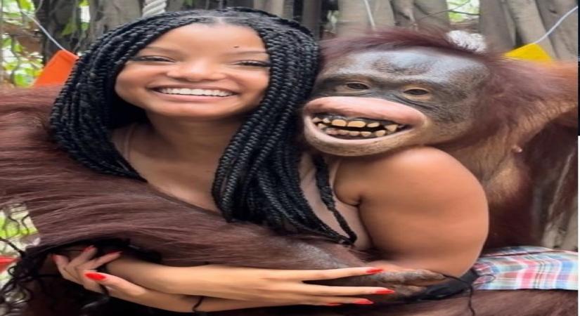 'Little Mermaid' star Halle Bailey slammed for posting photos with animals at zoo