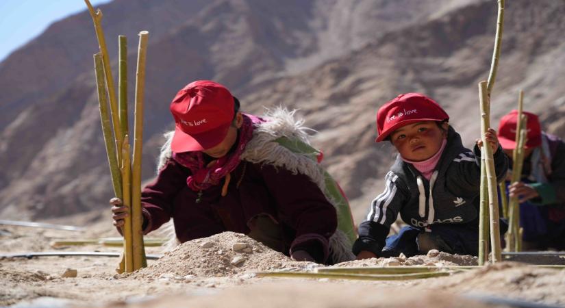 Impressive 100,000 trees planted in day in Ladakh's barren land.