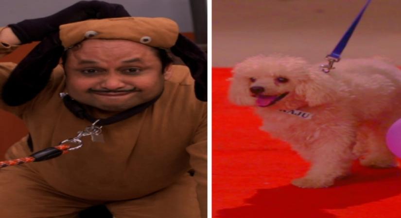 Cynophobic Happu Singh to get a furry friend in 'Happu Ki Ultan Paltan'.