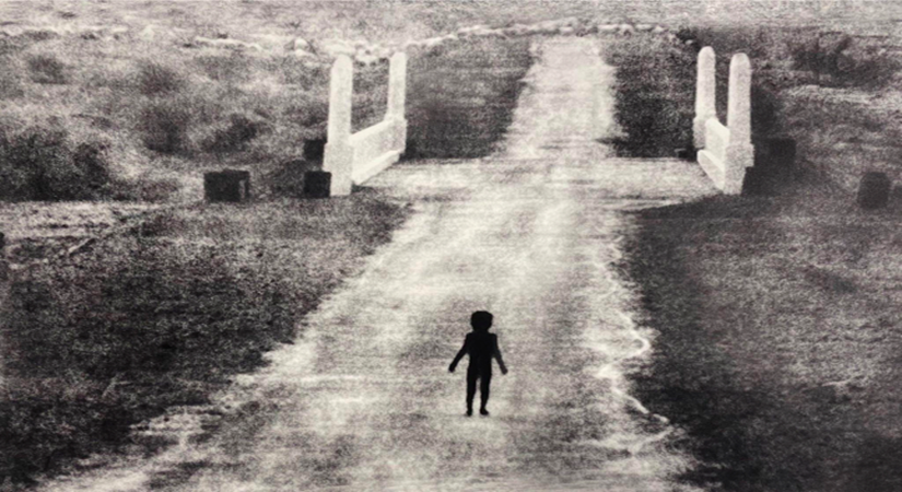 Art fairs and biennales