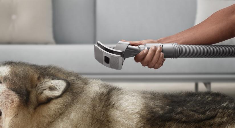 Dyson Global Dust Study 2023