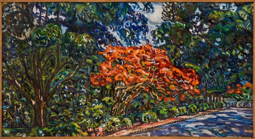 Gulmohar, Cubbon Park