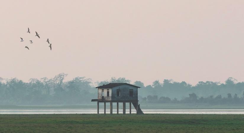 Assam. (Photo: Pexels)