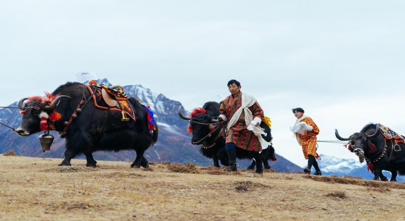 Royal Highland Festival