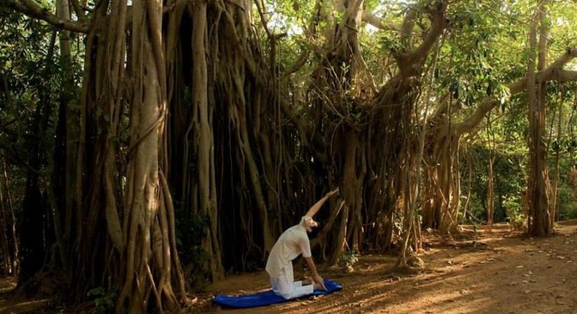 Yoga for monsoon wellness and immunity