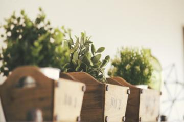 Mistakes that kill your plants in winter