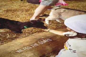 Actors Kunal Kemmu and Soha Ali Khan's daughter Inaaya Naumi Kemmu spent a day at the farm feeding animals during their vacation in Australia.