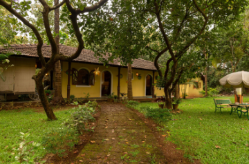 Take a 'paw'se and enjoy a 'purr'fect staycation