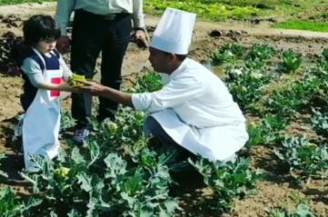 Taimur Ali Khan picks organic veggies at a farm.