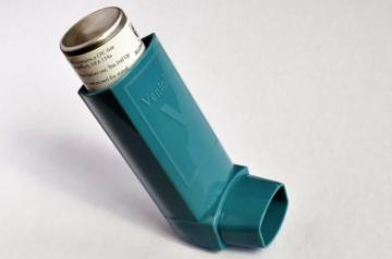 New York, March 28 (IANS) Suffering from asthma? Read this carefully. Following a plant-based diet can help prevent and manage asthma, while dairy products and high-fat foods raise the risk, a new study suggests.