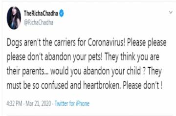 Amid the coronavirus pandemic, a lot of rumours and myths have found way into our WhatsApp inboxes. One such unfounded rumour links the disease to pets, which in turn has given rise to the trend of people abandoning pets.