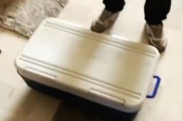 Filmmaker Karan Johar sent a box full of ice cream as a "sweet" surprise for Kartik Aaryan.  The actor joked that he would sell a scoop for over a whopping Rs 2,00,000. Kartik on Sunday night took to Instagram, where he shared a video on receiving the box full of ice-cream.