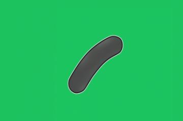 Tuberculosis bacteria 