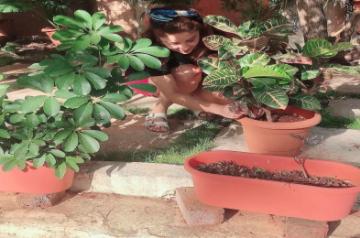Lockdown diaries: Farmville time in B-Town!.
