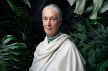 (Photo: janegoodallinst/Instagram)